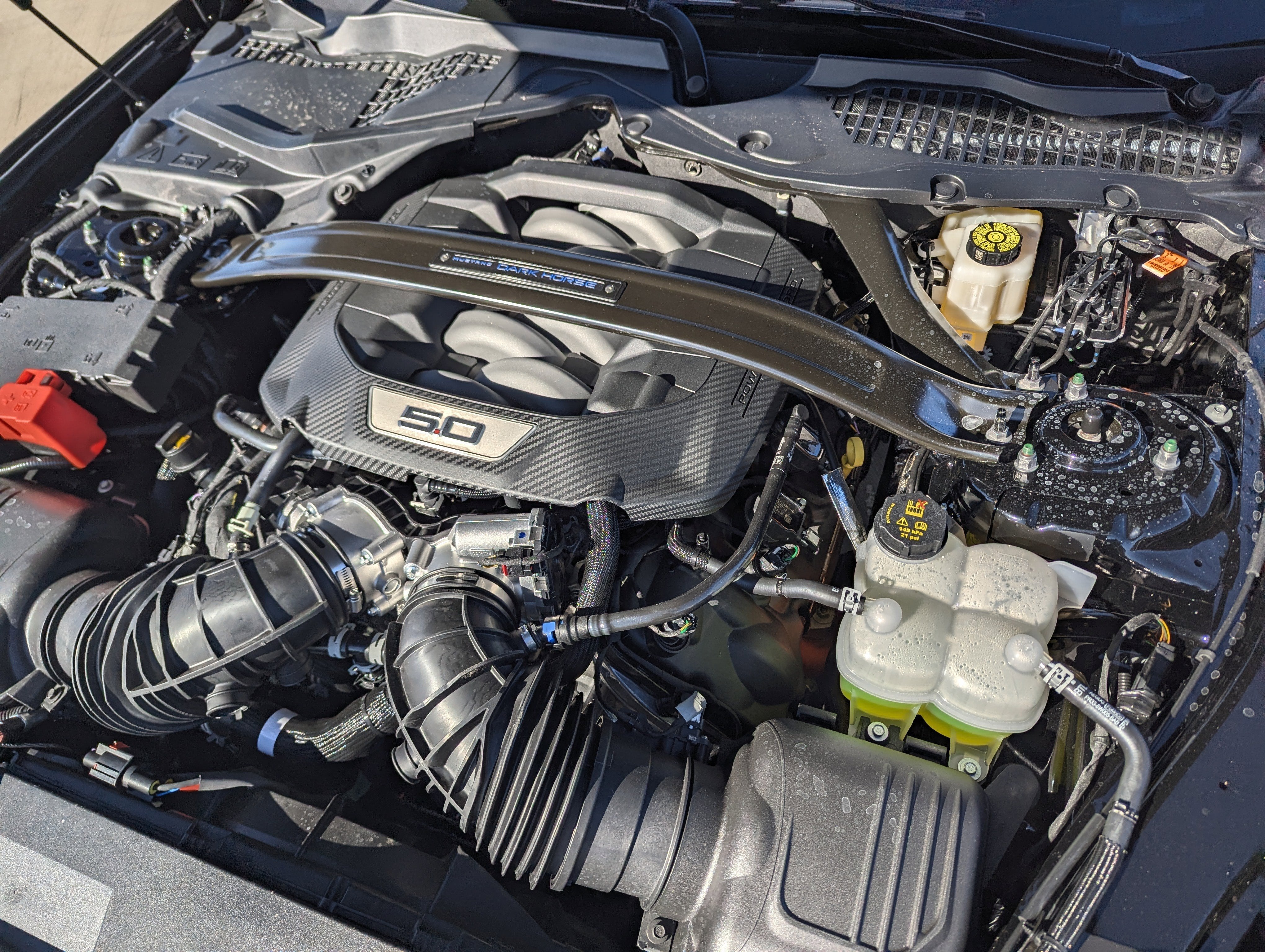 2026 Ford Mustang Dark Horse® Premium