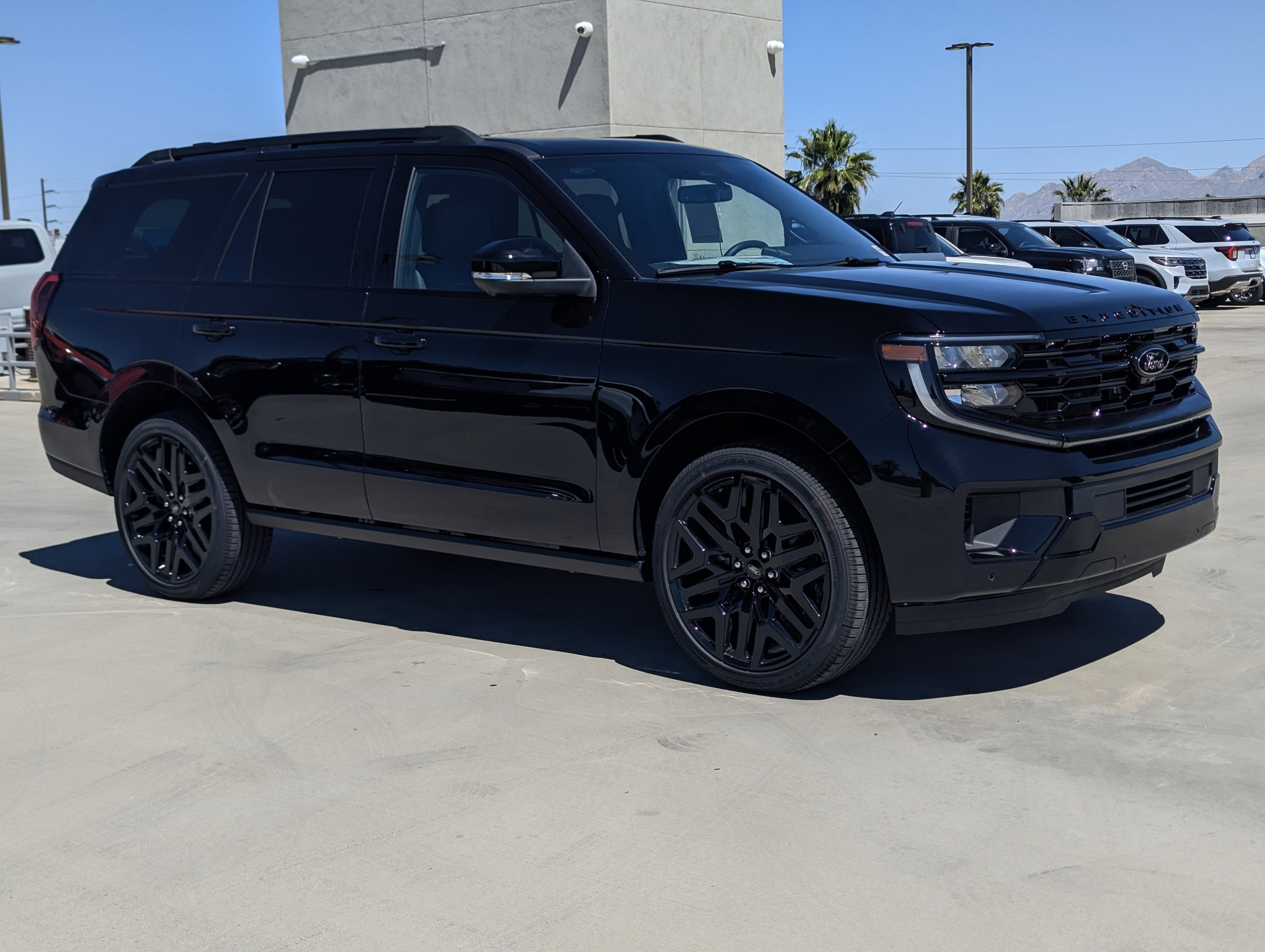 2026 Ford Expedition Platinum 4x4's photo