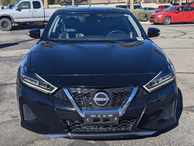 2023 Nissan Maxima SV